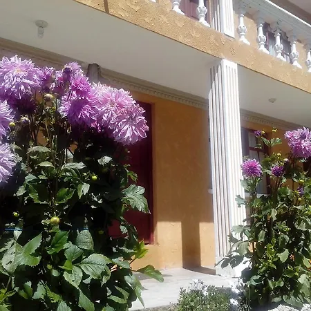 Hostal Del Sol-3